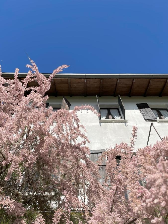 Terrazza Sul Lago Ameno Buitenkant foto